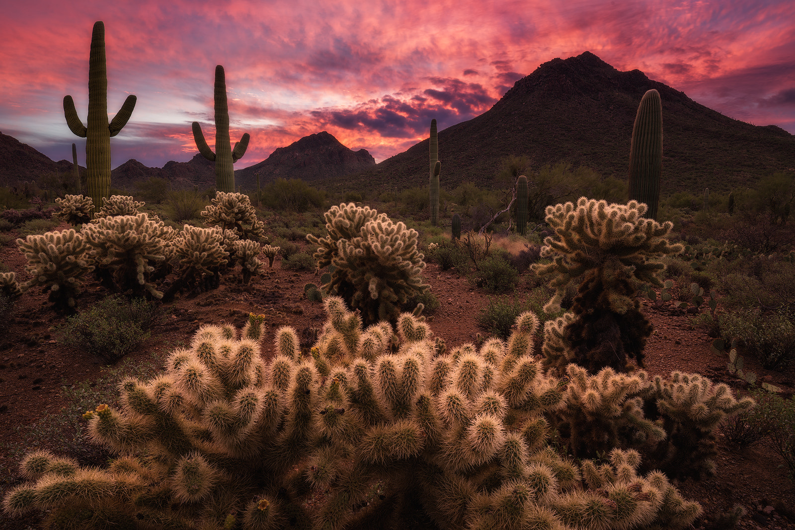 Max Foster (MaxFoster) Photos / 500px