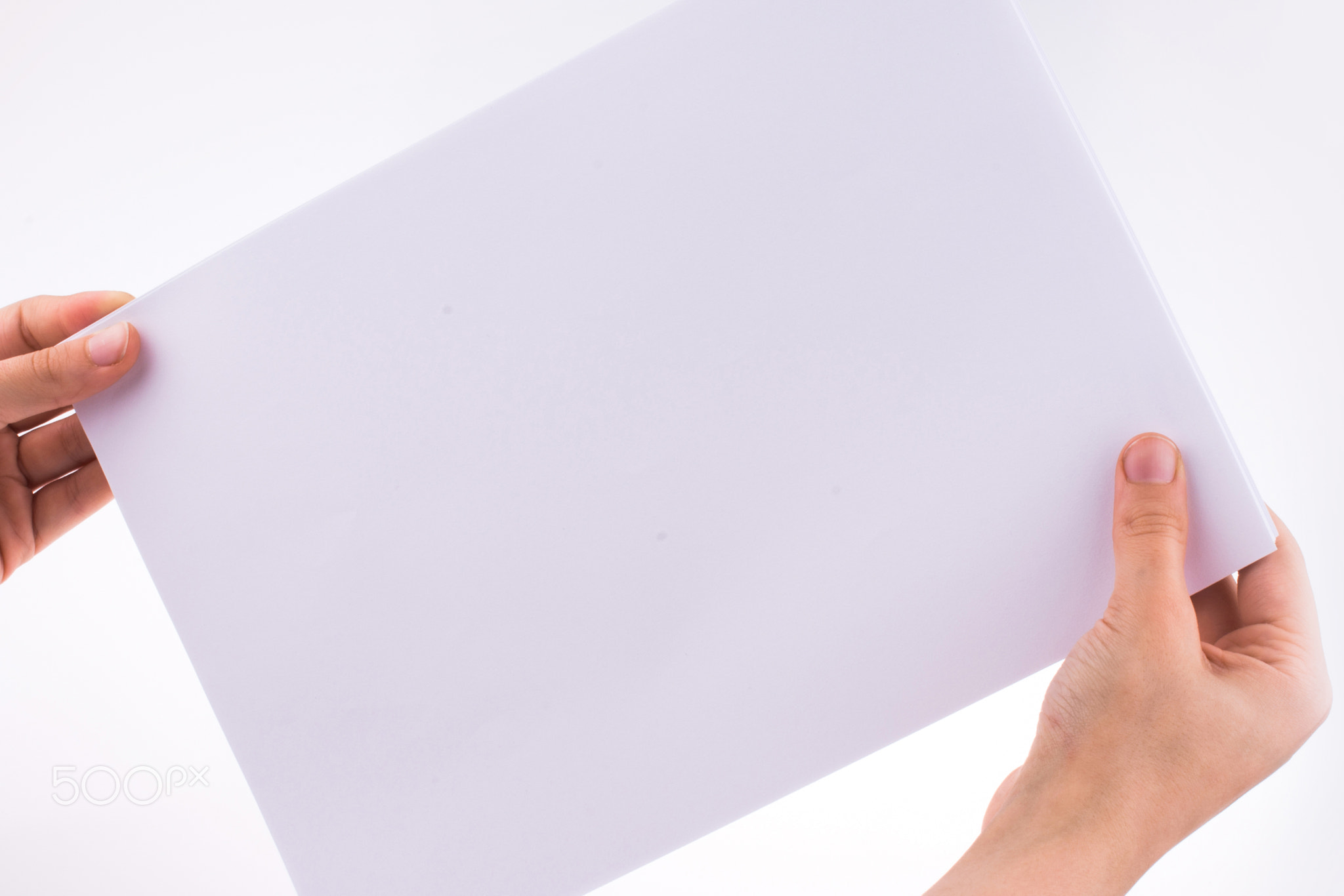 Hand holding a white blank sheet of paper