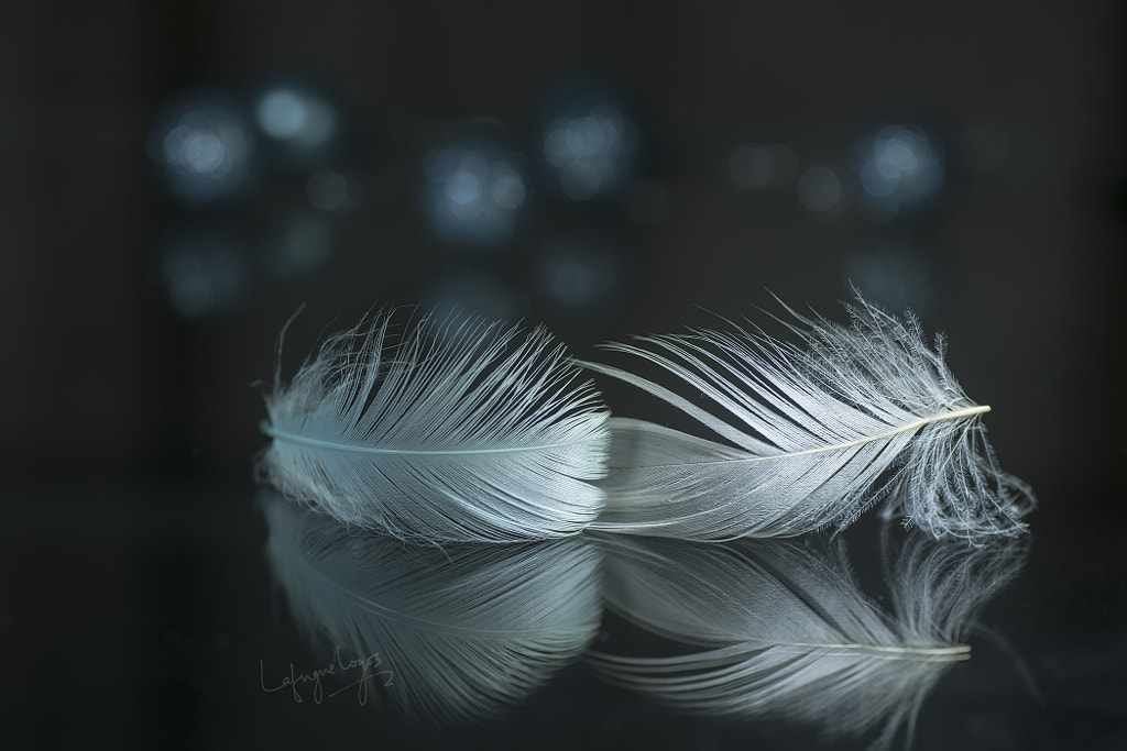 Memories of the heart by Lafugue Logos on 500px.com