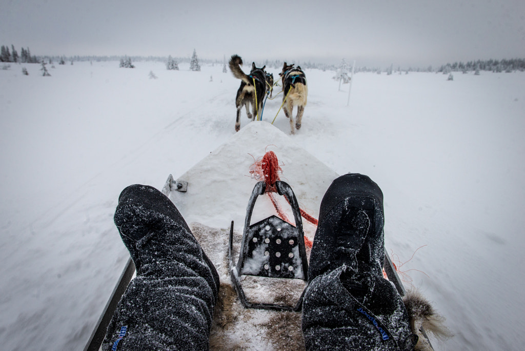 Husky Tour par Jay Van der Zant sur 500px.com