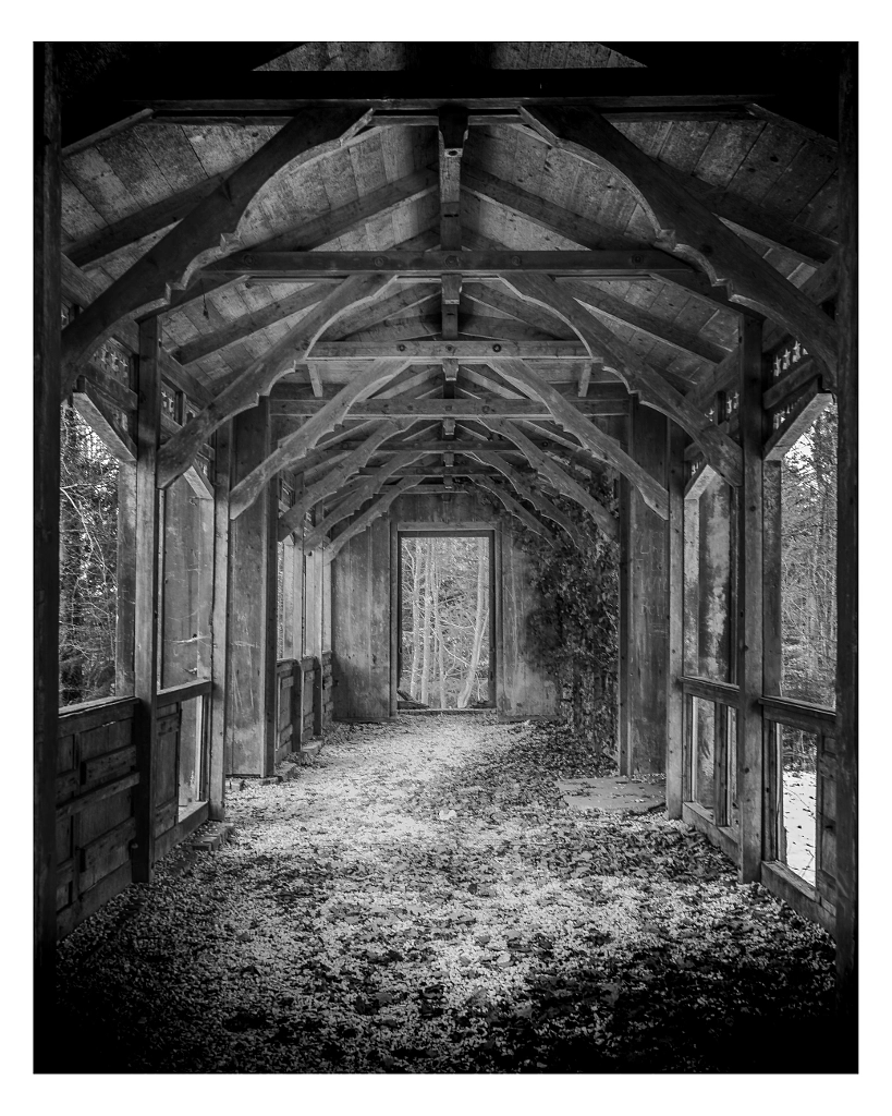 Lost in the Forest by Meriuţă Cornel | 500px.com