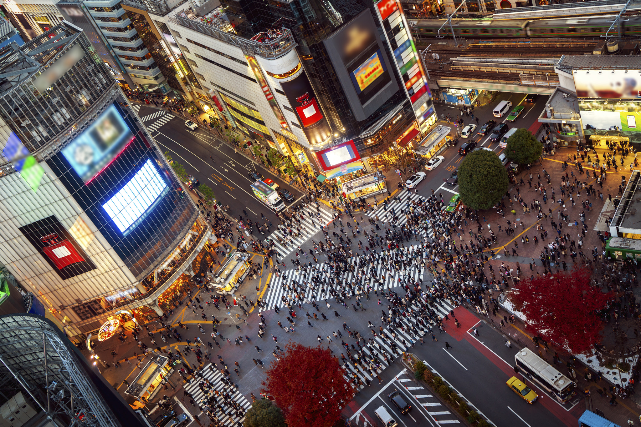 Shibuya Crossing