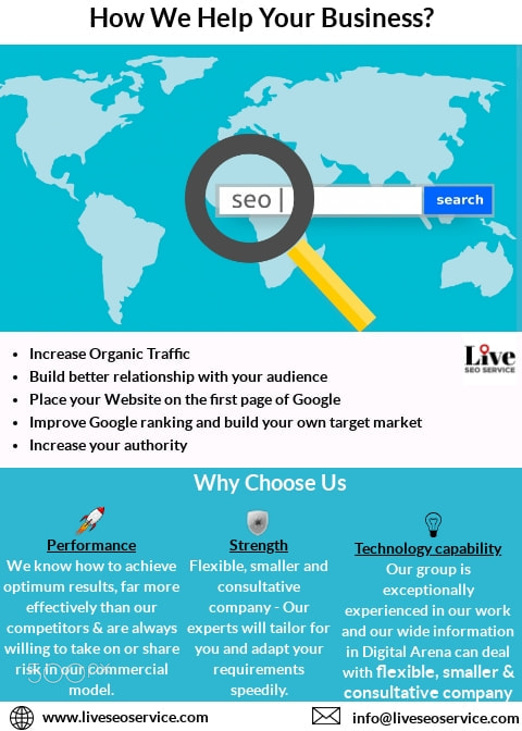 Live SEO Service - Flyer