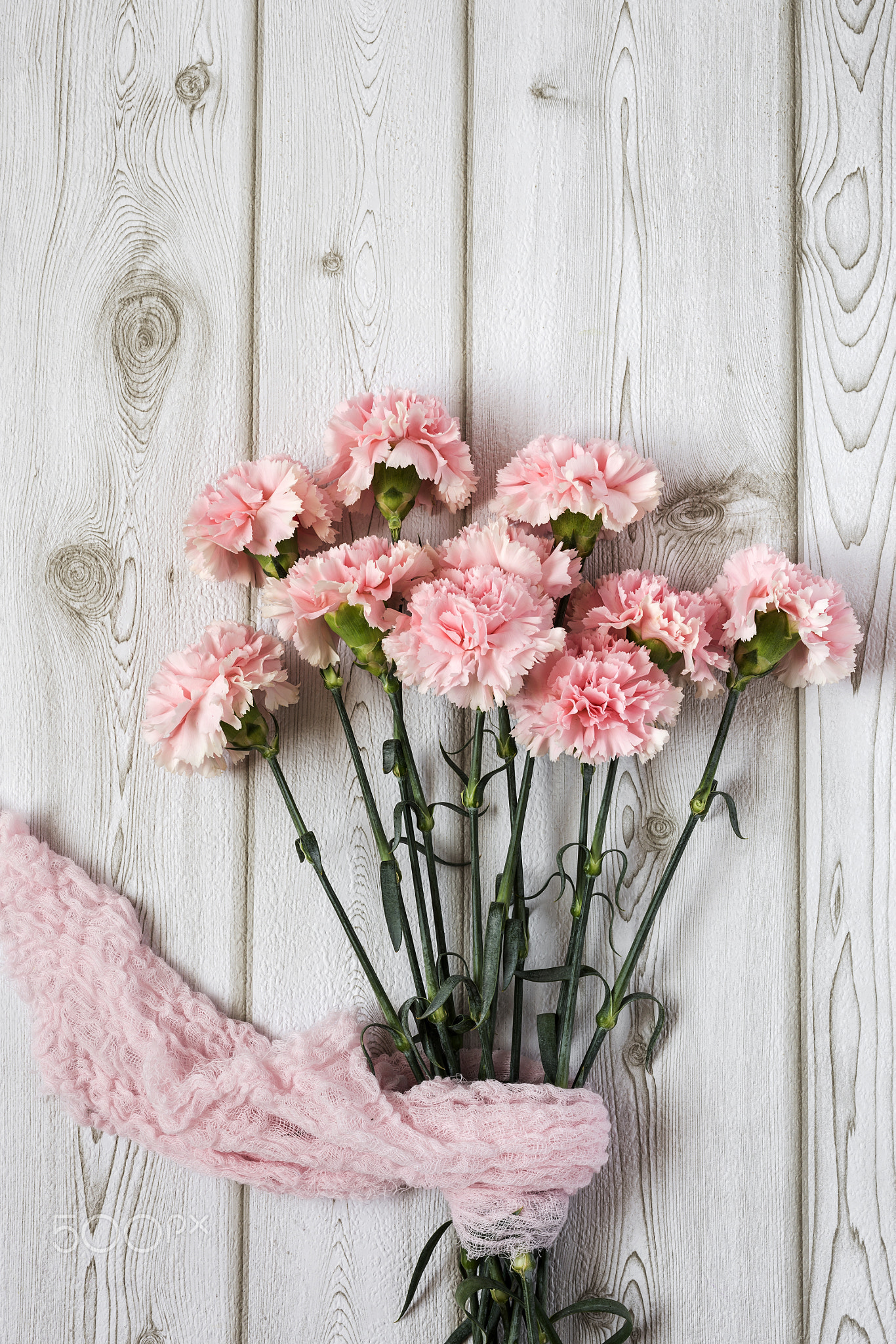 Flowers on white background. Flat lay, top view