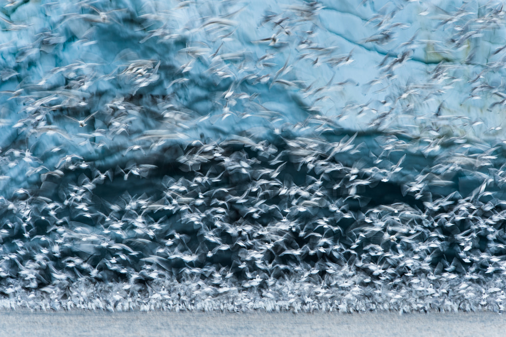 Glacier flight by Roy Mangersnes on 500px.com