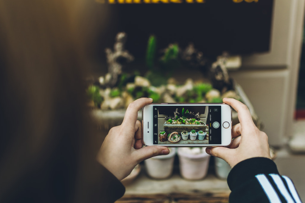 cactus p!rn - Mastering Mobile by Szabo Viktor on 500px.com