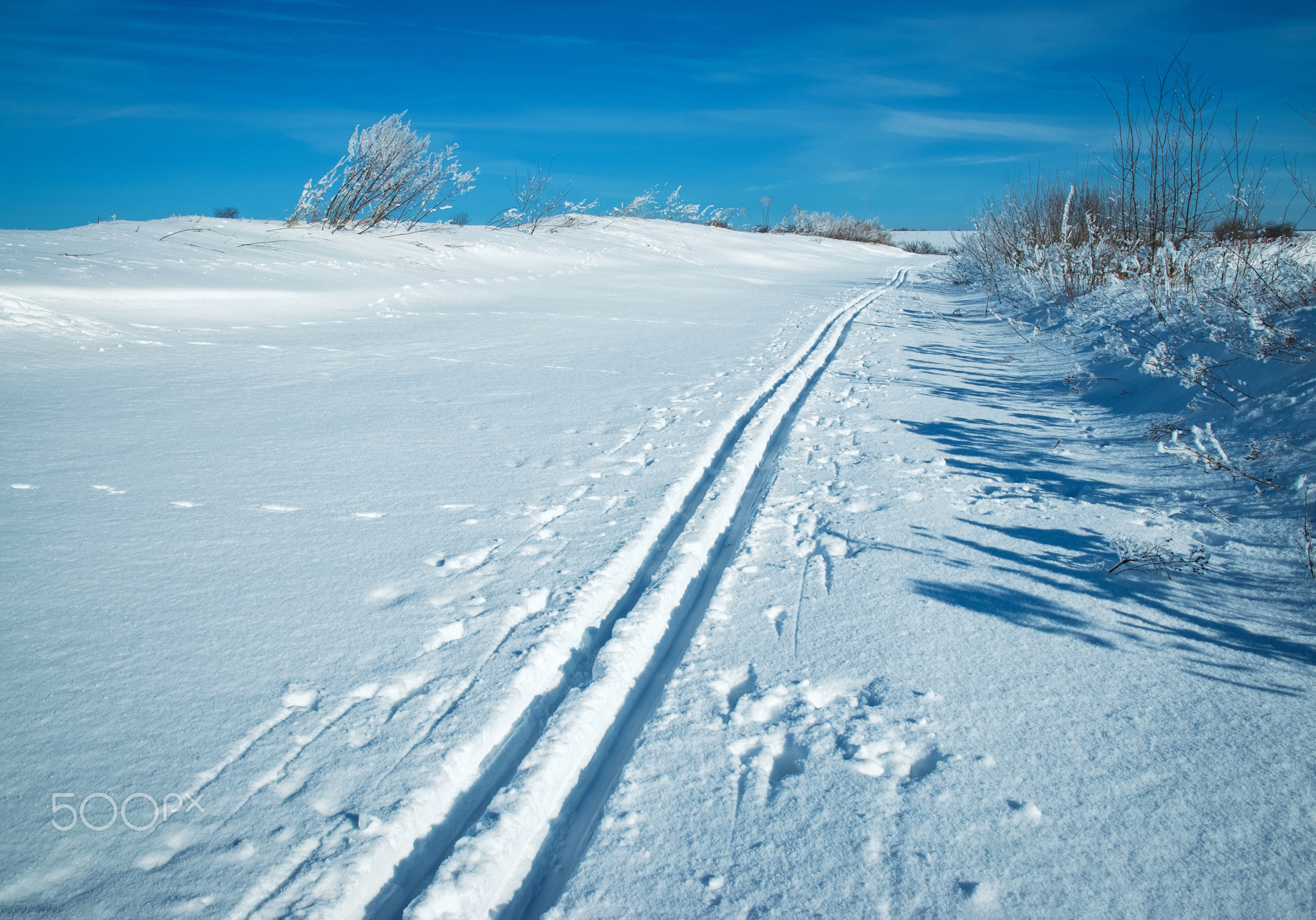 snowy plain with a ski track