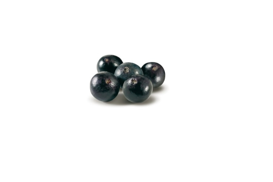Koop diepvries Acai Smoothie Packs | Amsterdam | F