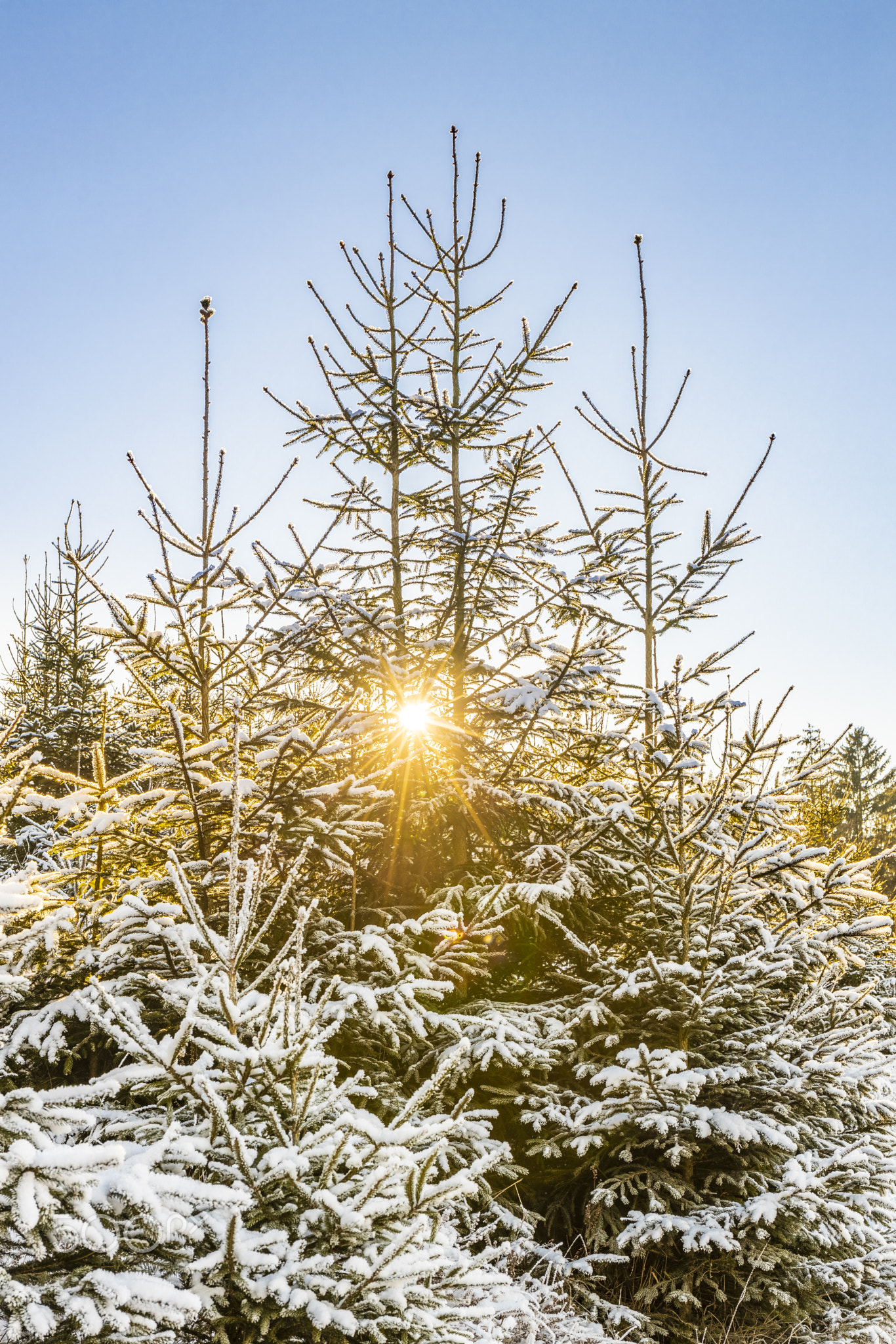 Winterwanderung