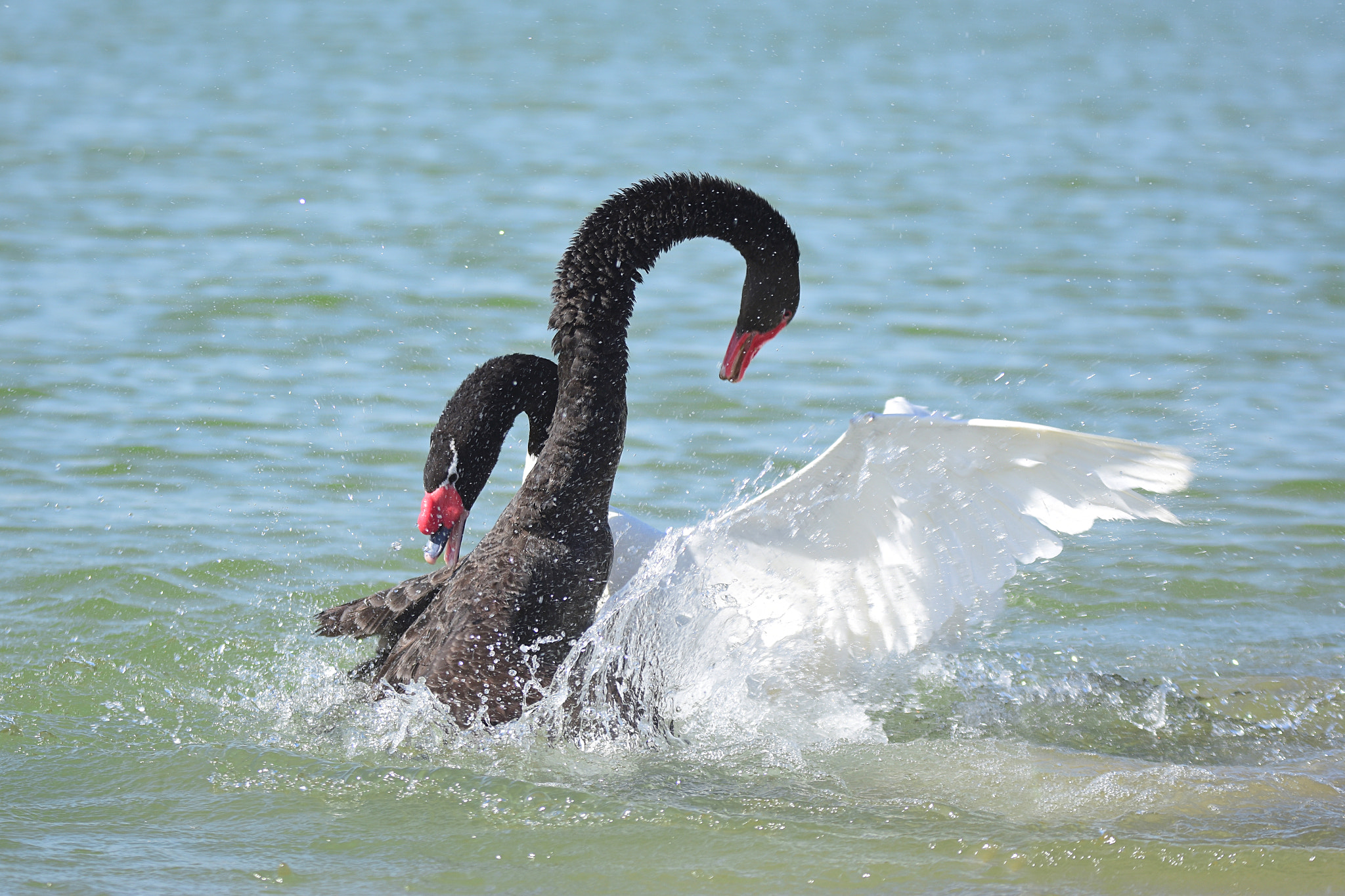 v2?sig=aa3a46861d990e11f2911ff65b62336a9bd6df9a4de651ec7ffdc9b02040d5fa