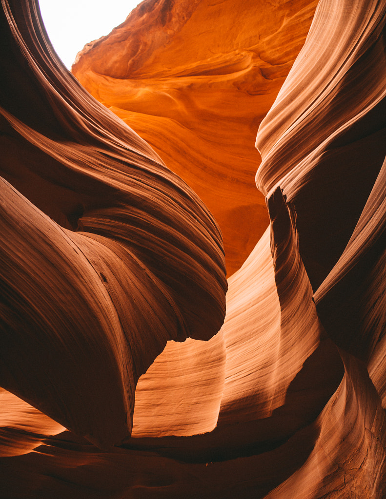 everything is everything. by Anthony Sotomayor on 500px.com