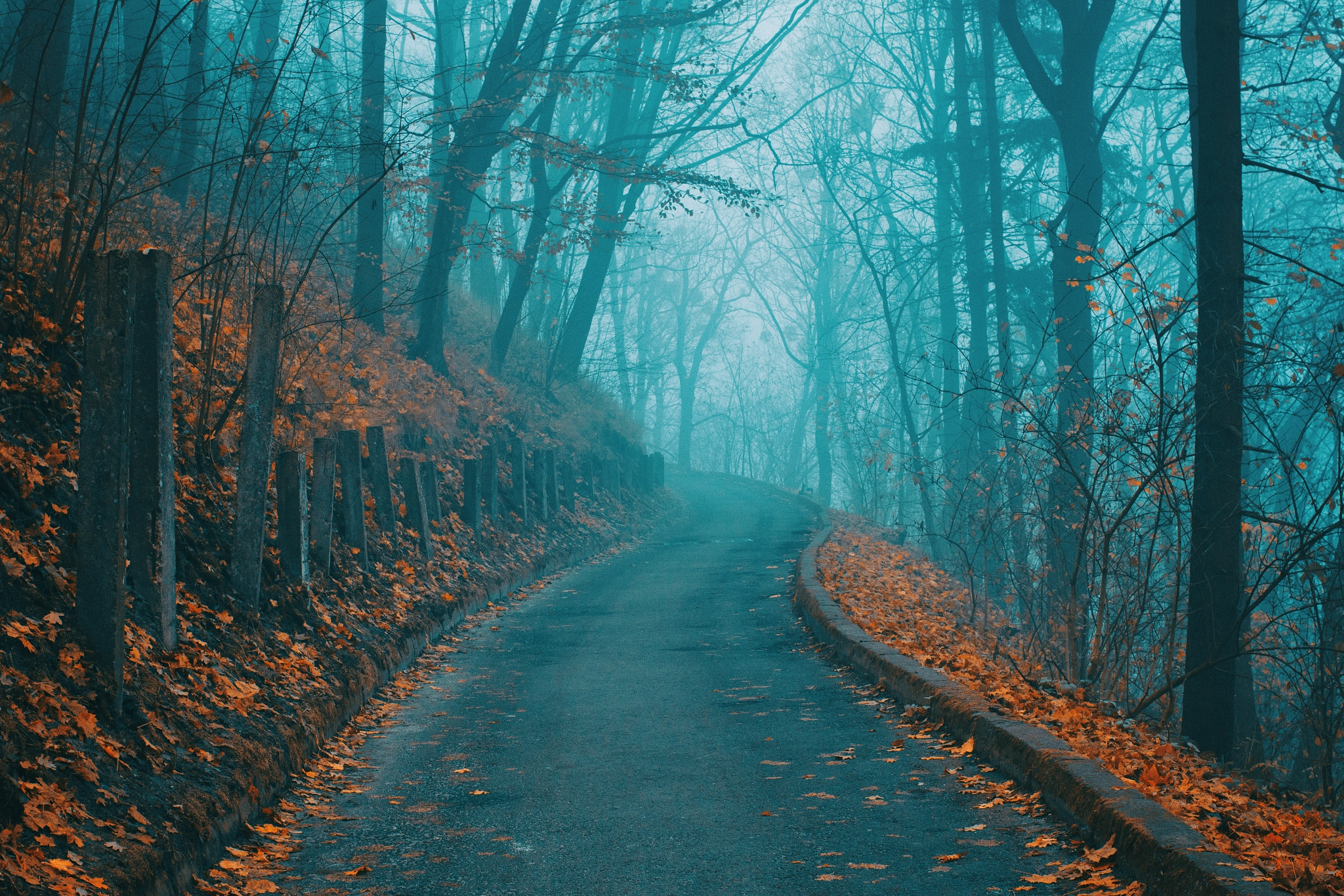 Autumn road