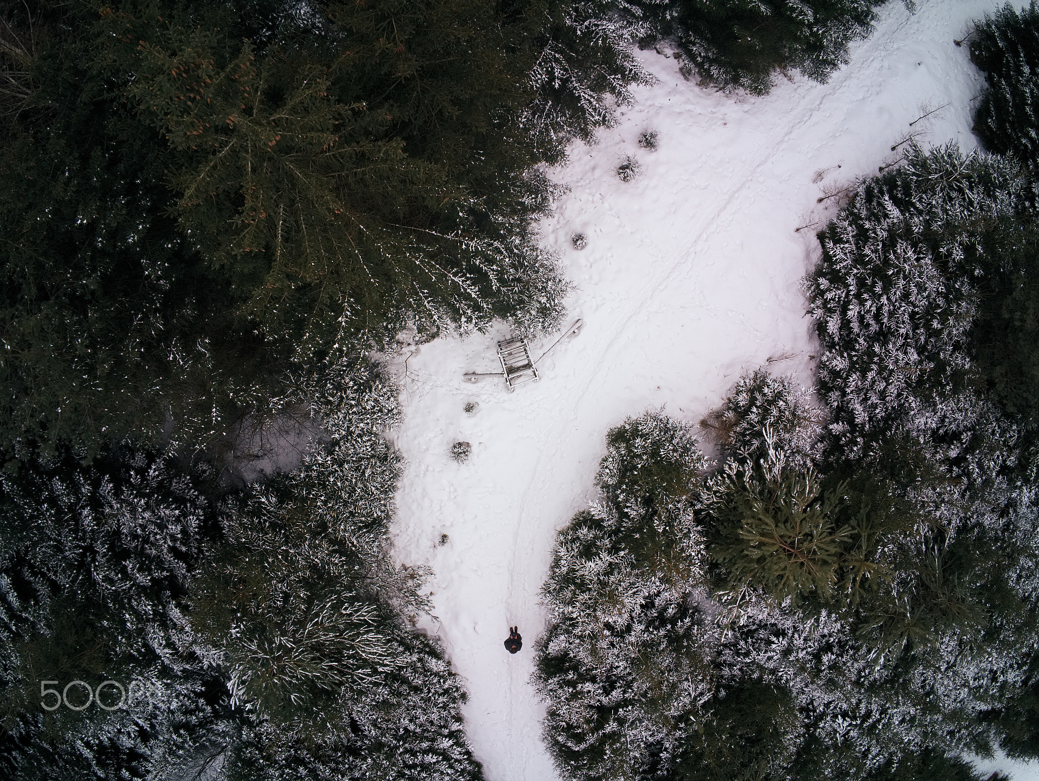 Aerial view over tree tops in winter season in bavaria