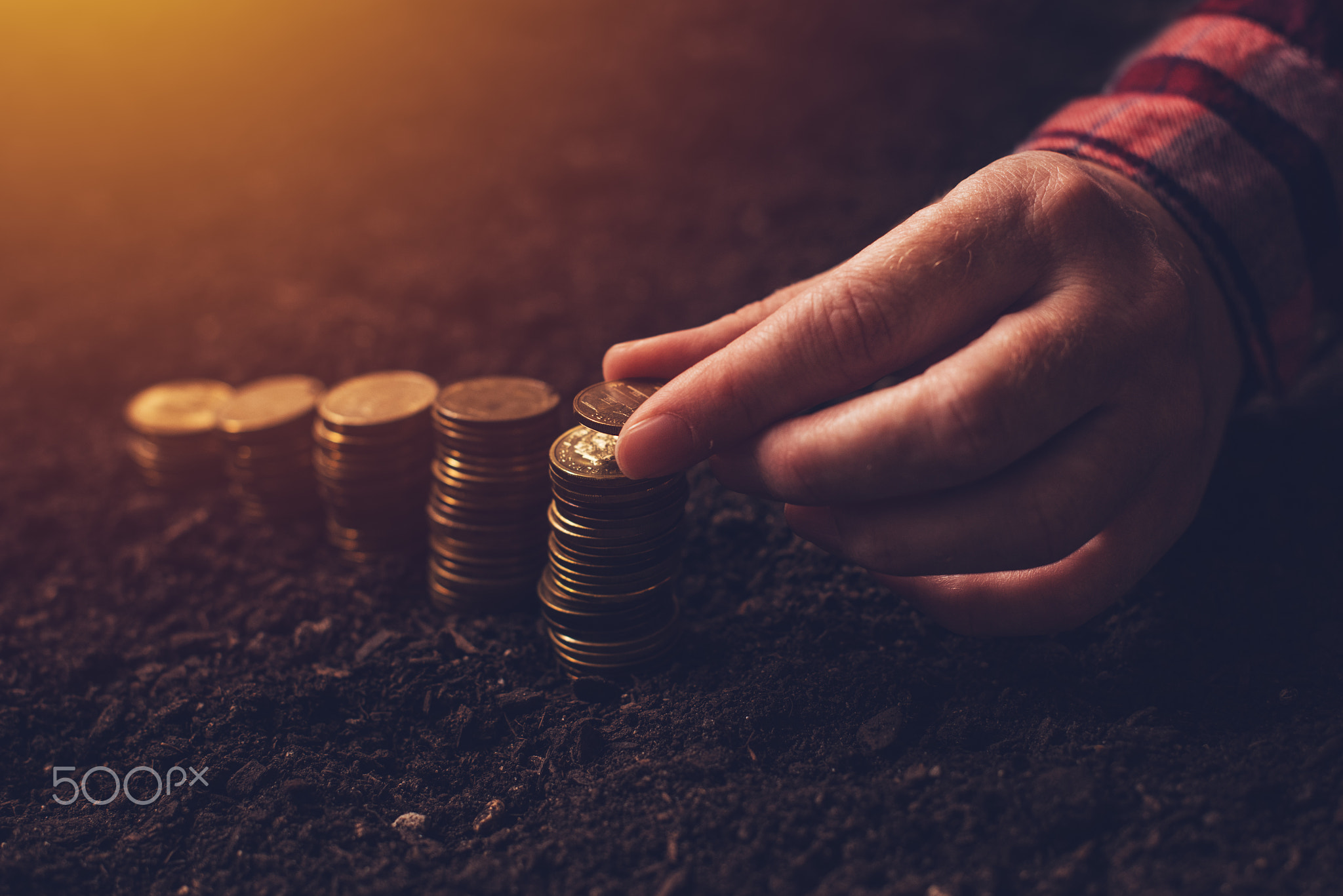 Female farmer stacking coins, success in agriculture