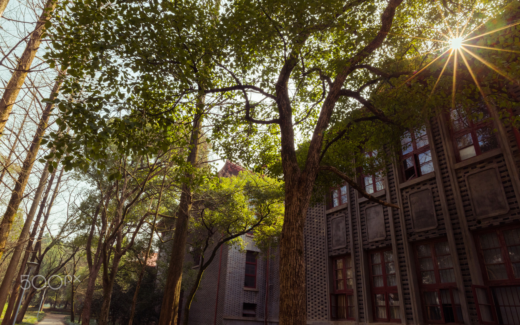 Teaching Building in ZJNU, Jinhua, China