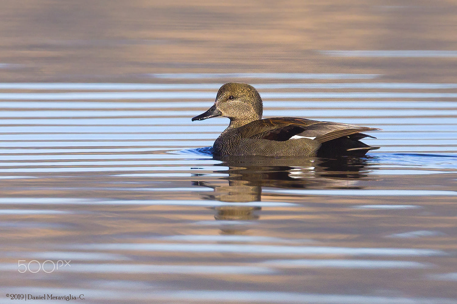 IMAGE: https://drscdn.500px.org/photo/293934543/q%3D80_m%3D1500_k%3D1/v2?webp=true&sig=1b6e9657084c742af9a449c491c3aab684047aa6248676105fb069ee551ba840