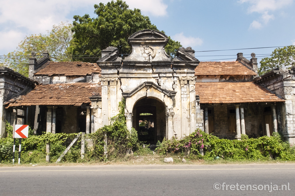 Untitled by www.fretensonja.nl on 500px.com