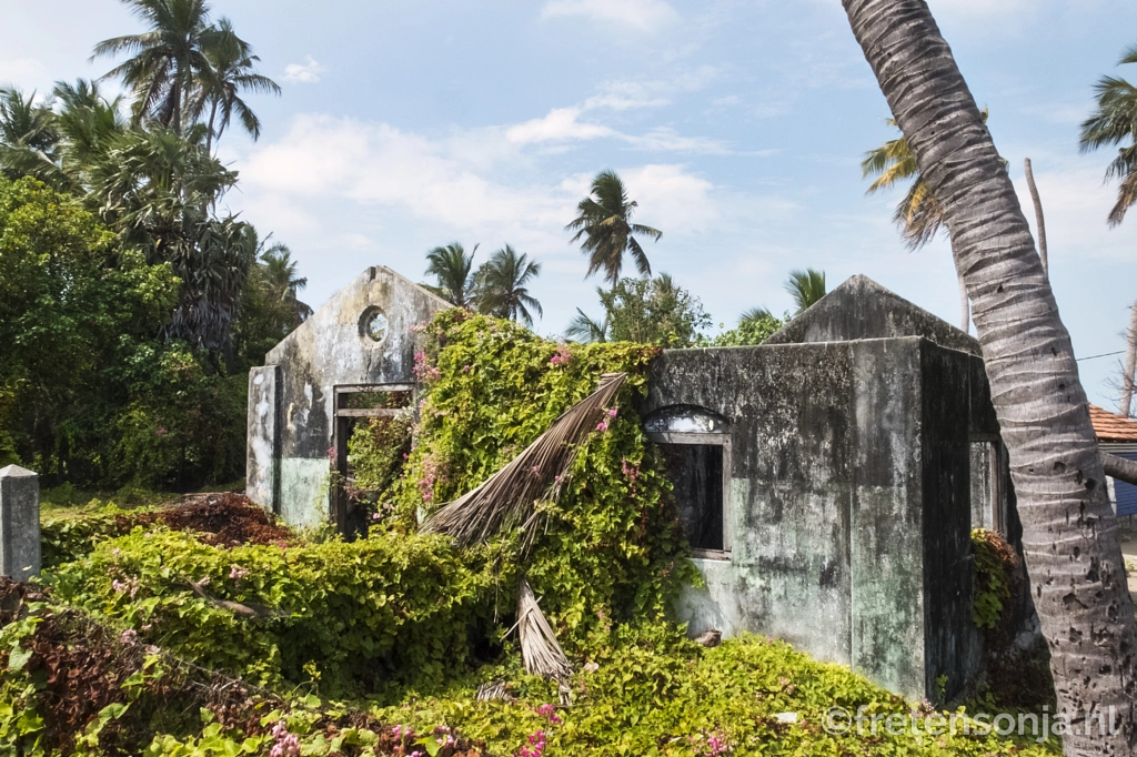 Untitled by www.fretensonja.nl on 500px.com