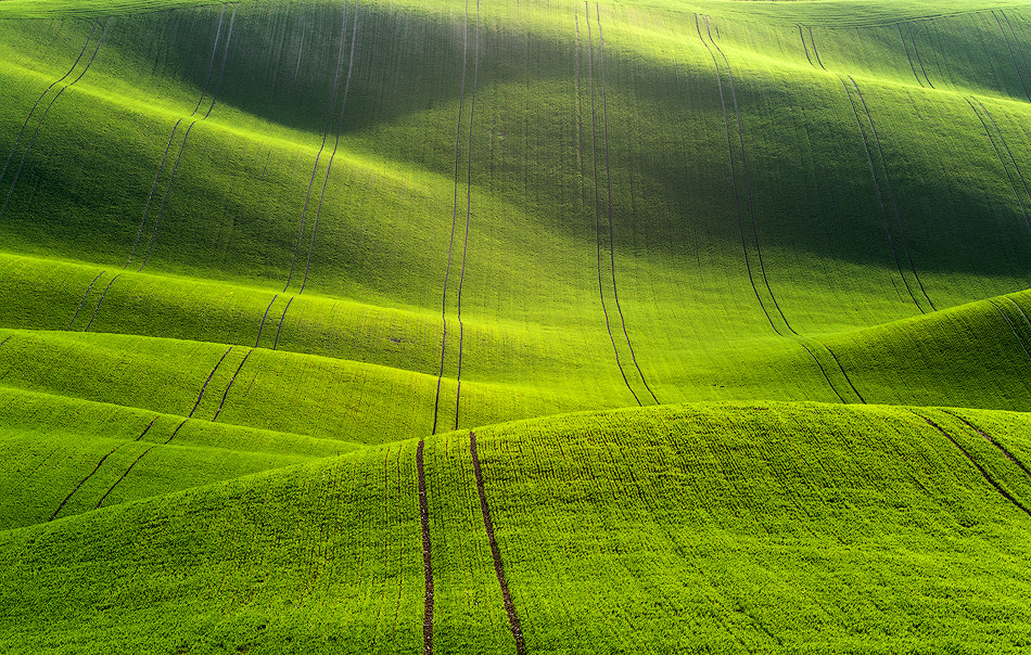 Carpet by Marcin Sobas on 500px.com