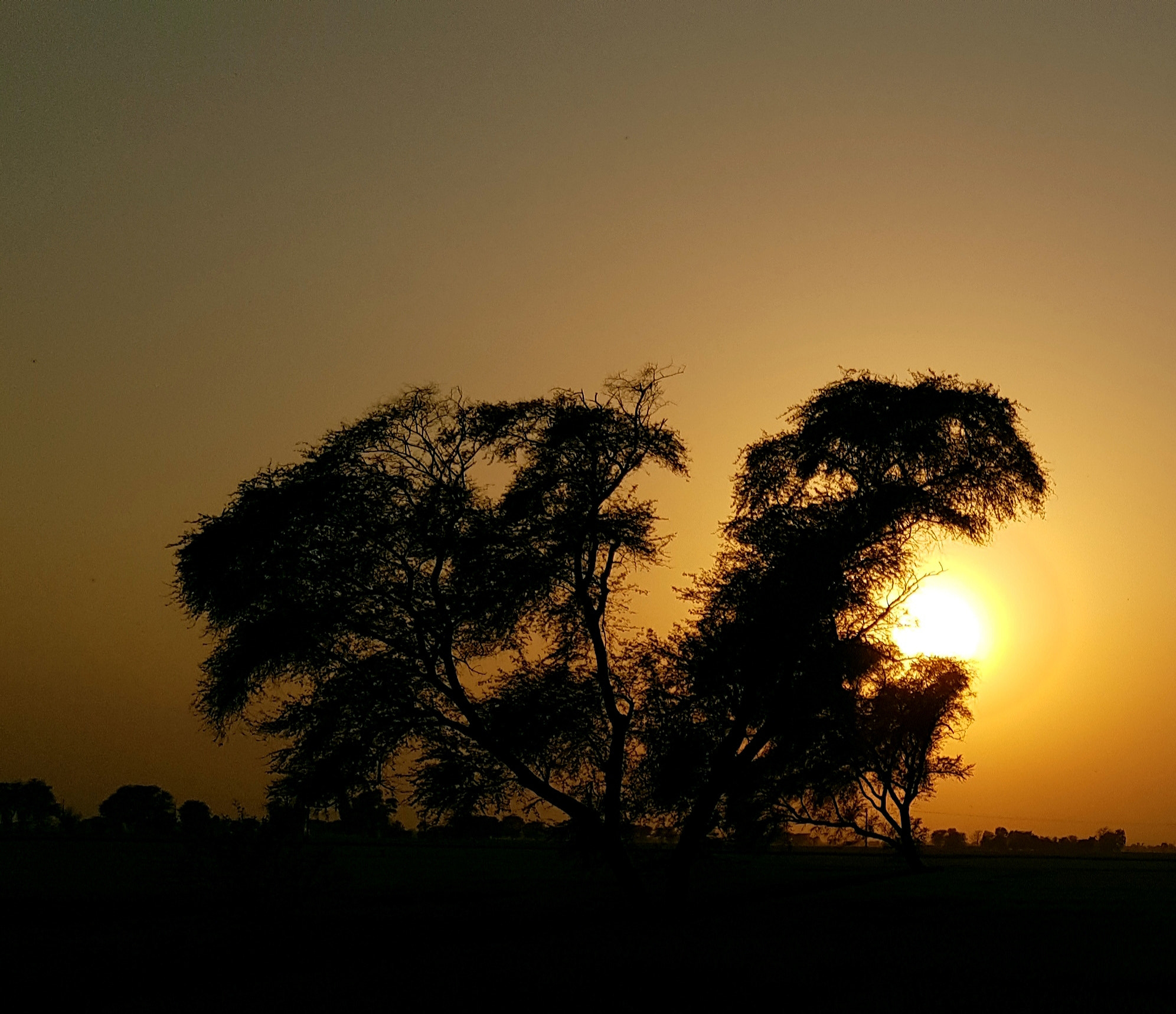 v2?sig=013d96d9201c0bfc8c1172a0882f9817be80fe432e5838adfc7362295bd61778