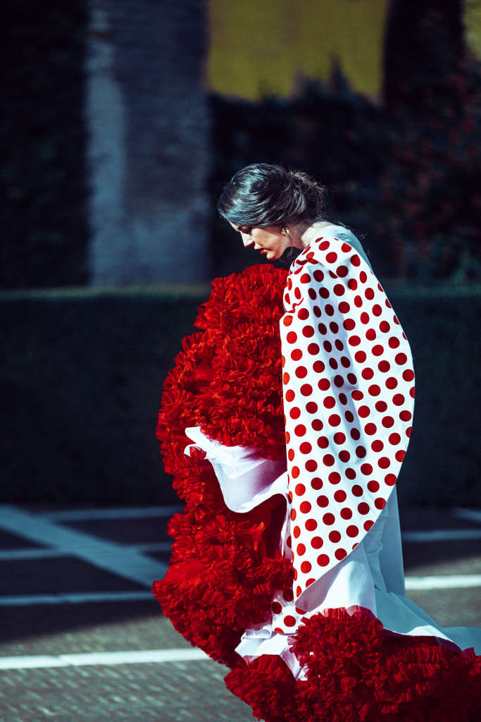 Passion in profile by Julia Wimmerlin on 500px.com