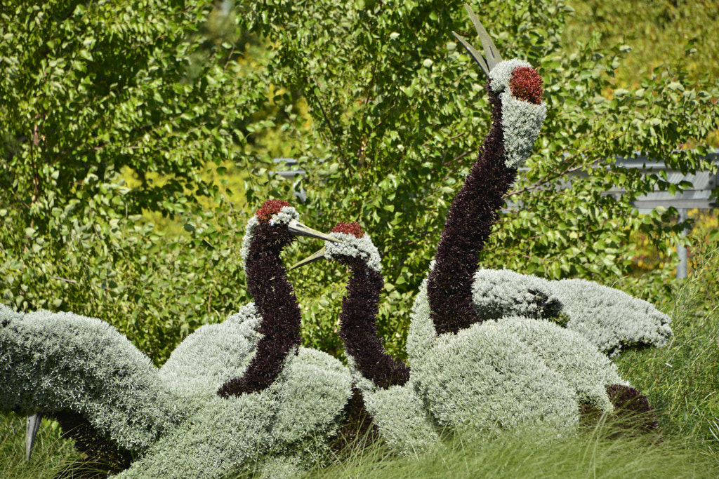 Sylvain Collin (SylvainCollin) Photos / 500px