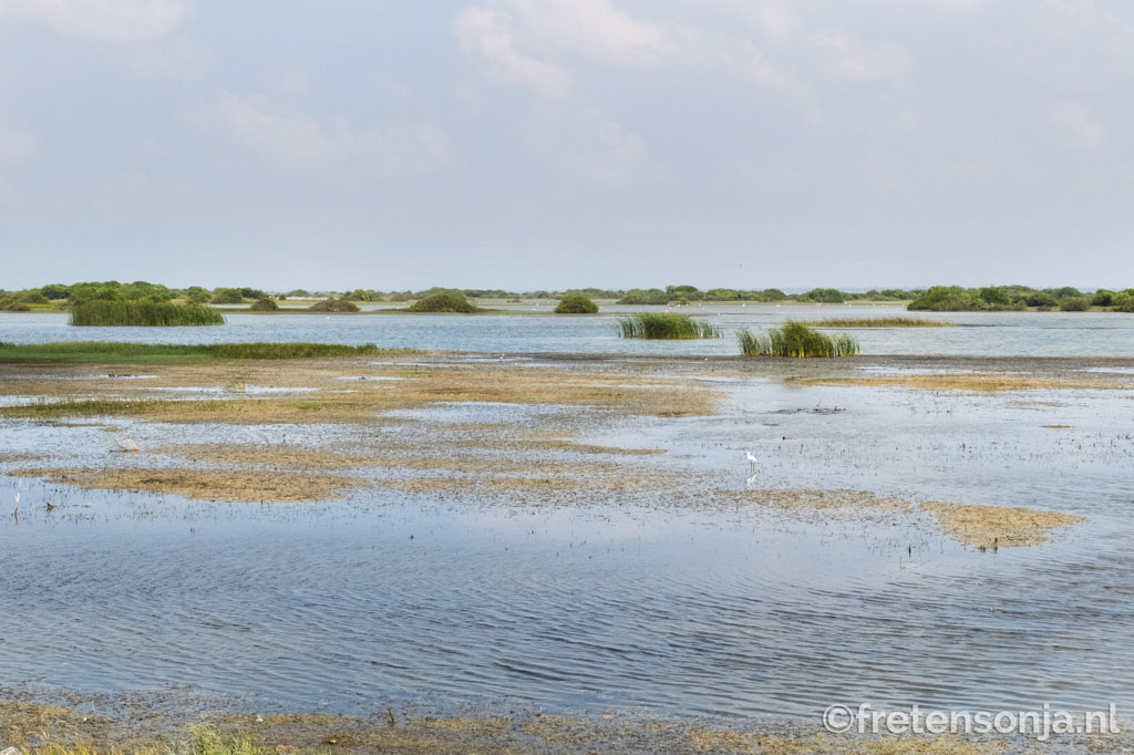 Untitled by www.fretensonja.nl on 500px.com