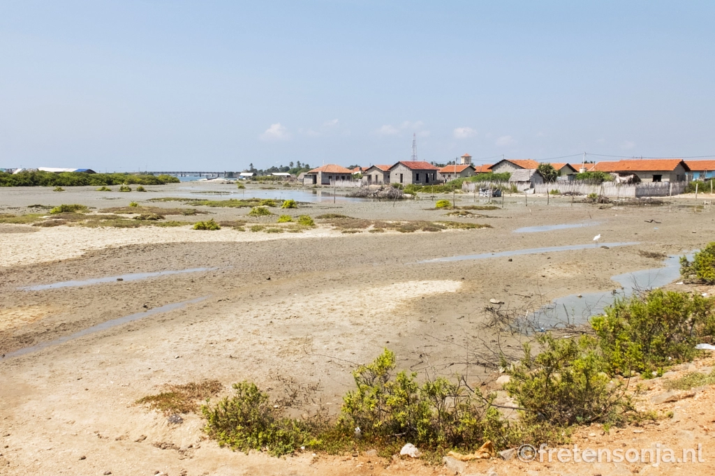 Untitled by www.fretensonja.nl on 500px.com