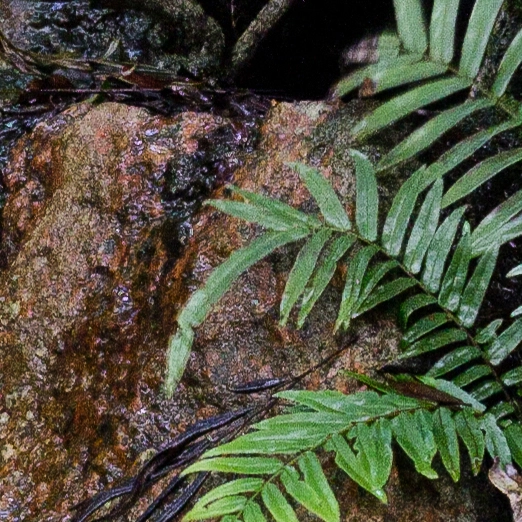 Long Exposure GFX Enhanced by Louis Ferreira on 500px.com