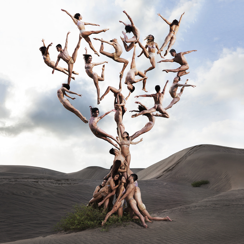 Tree Of Life by Rob Woodcox on 500px.com