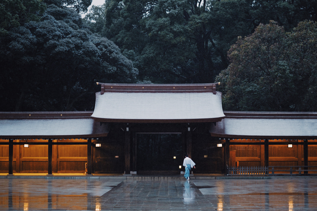 Meiji Shrine by Hao Meng on 500px.com