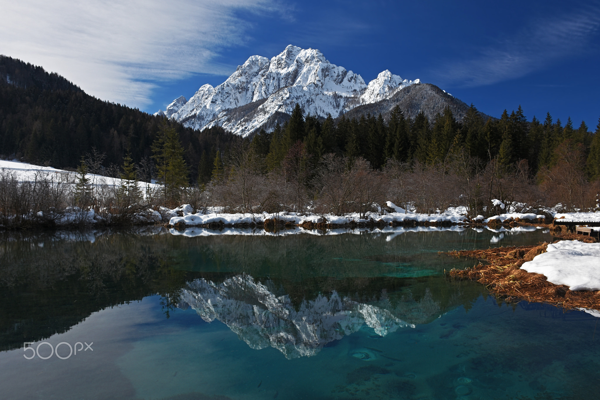 Zelenci natural reserve