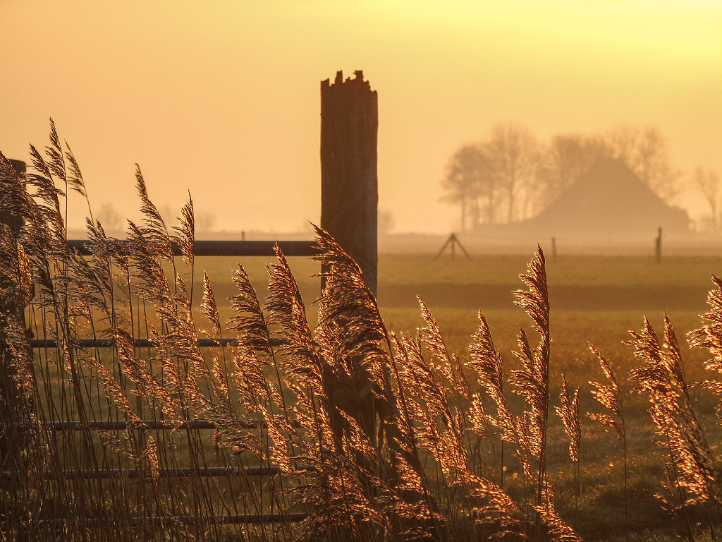 Frisian Countryside by Lars  on 500px.com