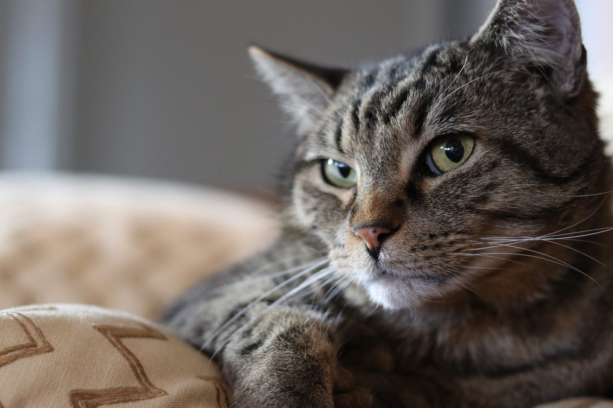 v2?sig=1d8679249674e2bad889490620a644fe65feead214a4611435ea9a39367c5bba