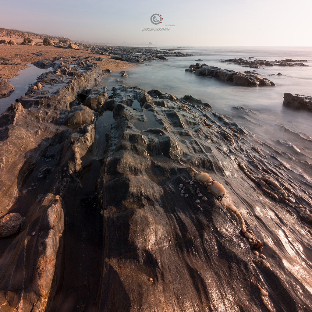 IMAGE: https://drscdn.500px.org/photo/295115175/m%3D900/v2?user_id=2170339&webp=true&sig=1f72f3ed2872905404fceaf58839b690758314067eb7177c71c1d92f1f277e55