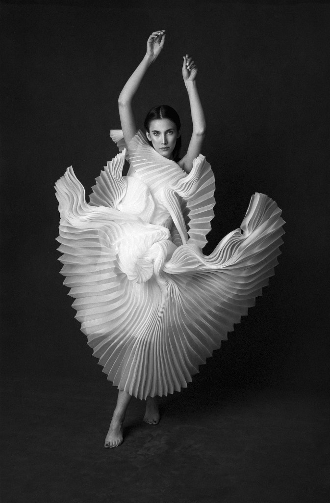 Swan lake by Peyman Naderi on 500px.com