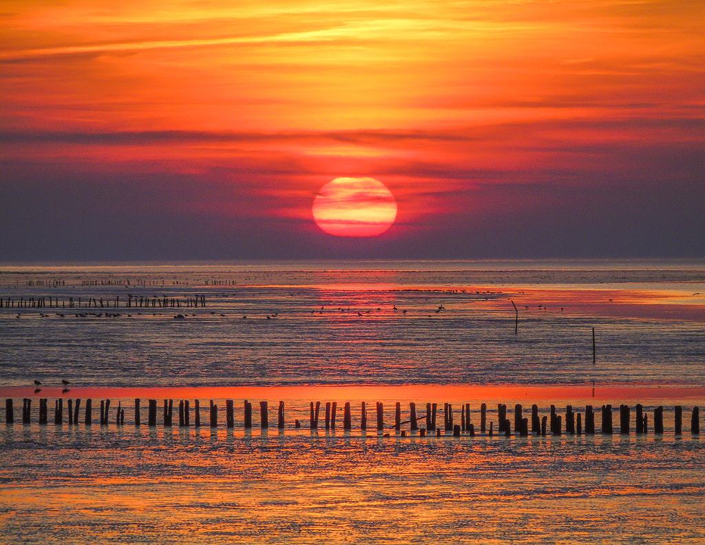 Waddenzee Sunset by Lars  on 500px.com