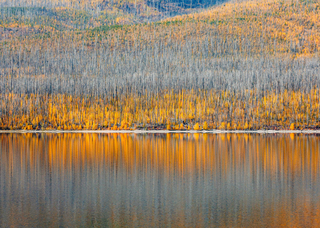Lake McDonald, Montana. by Hayden Scott on 500px.com