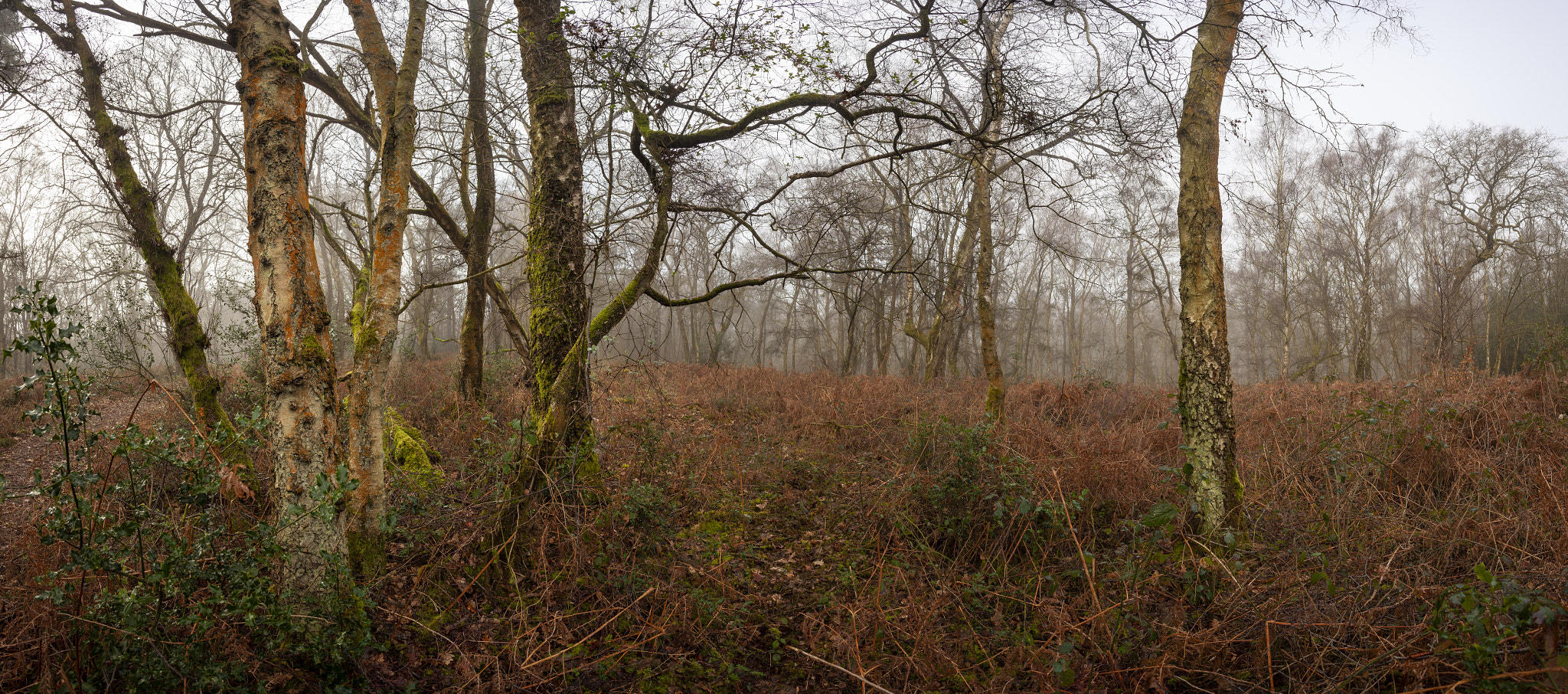 IMAGE: https://drscdn.500px.org/photo/295711921/q%3D80_m%3D1500/v2?webp=true&sig=d54489f39330696fb2434b81bc54b58c084bada354861c440ae2f38cf6b344cd