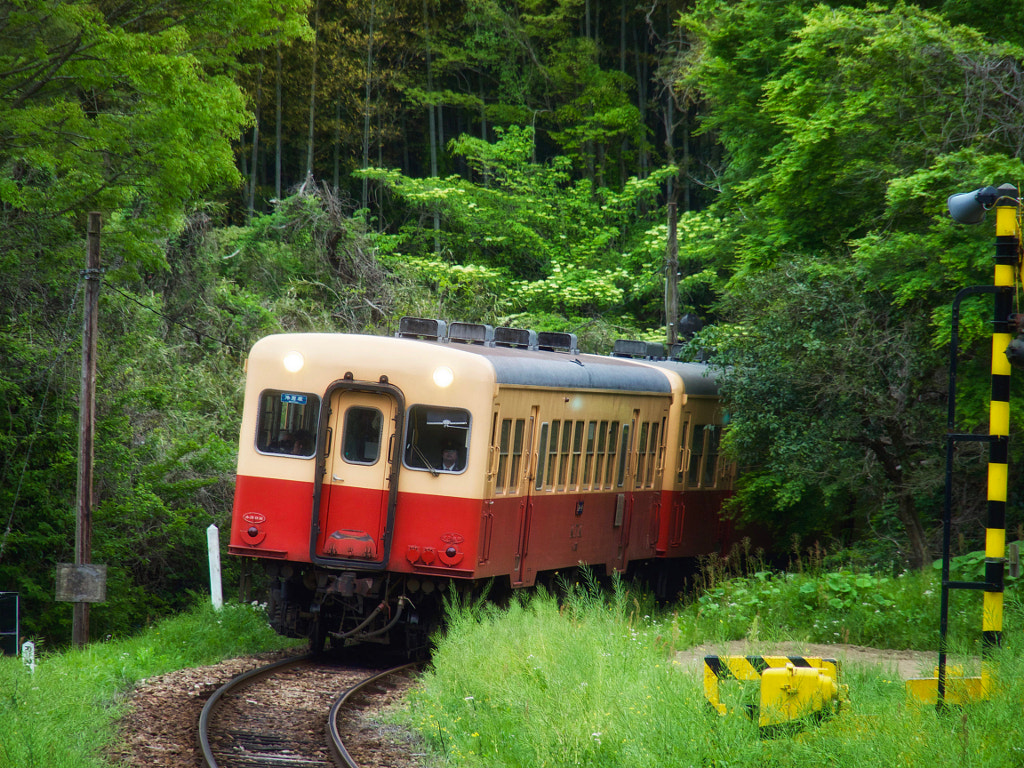 旅行記 撮り鉄の聖地 春の小湊鉄道紀行 Fotoreiser