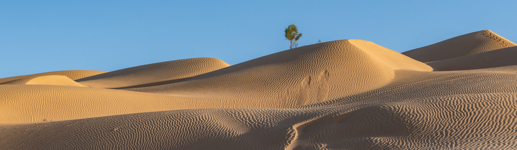 Sands of Rub Al Khali by Matt MacDonald on 500px.com