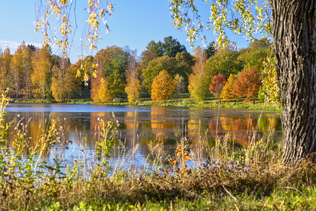 Aulanko by Markus Kauppinen on 500px.com