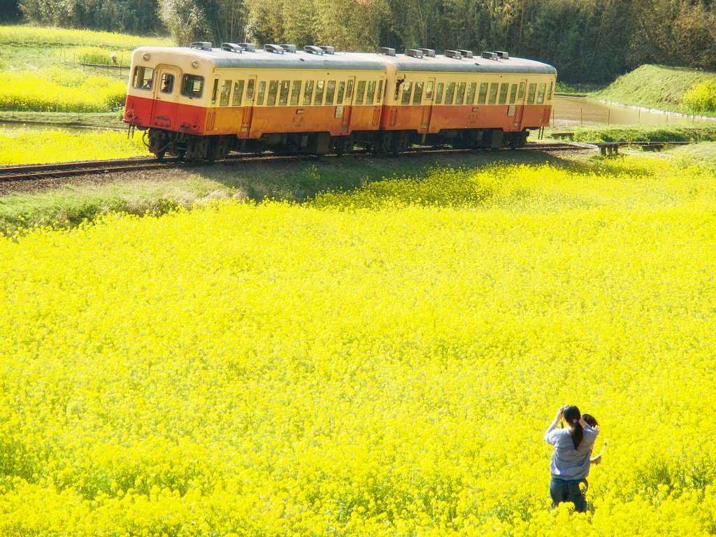 Shooting a Train in the Yellow World by Alan Drake Haller on 500px.com