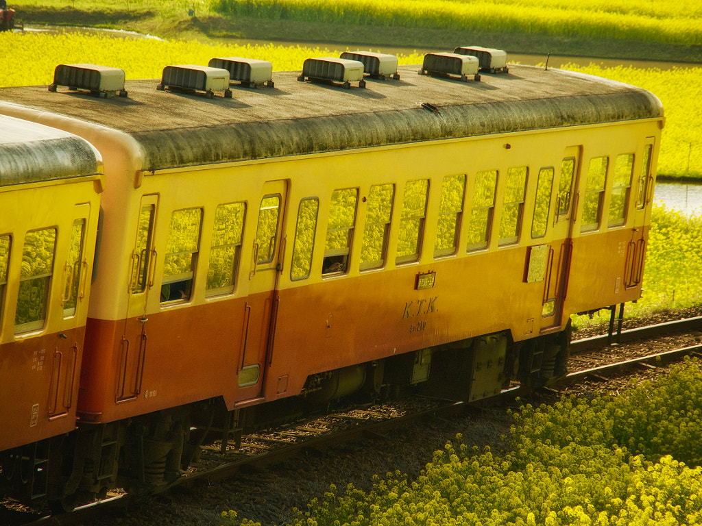 A Train Reflected Spring Color (Homage) by Alan Drake Haller on 500px.com