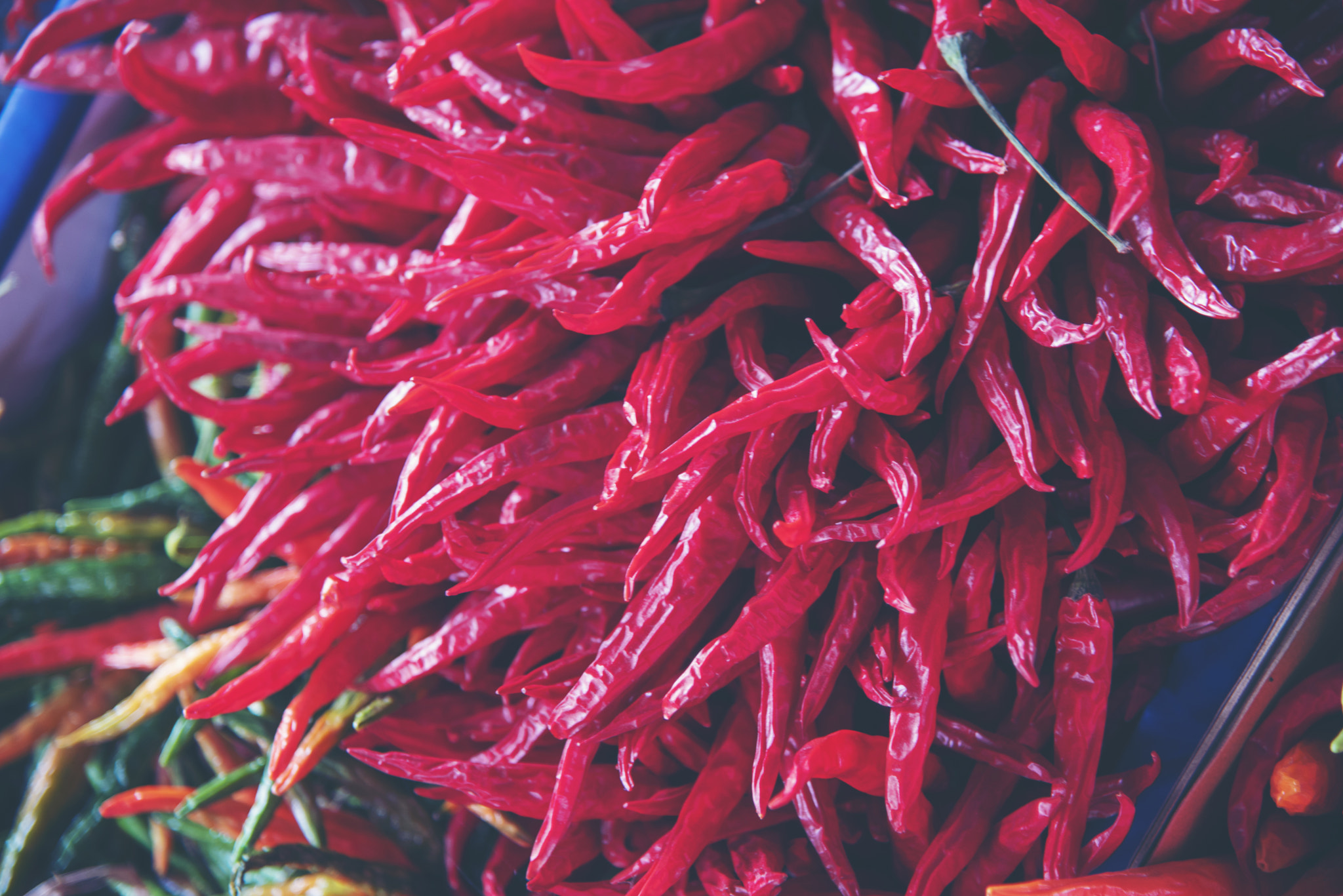 Chili in the plot pushed free of chemicals.