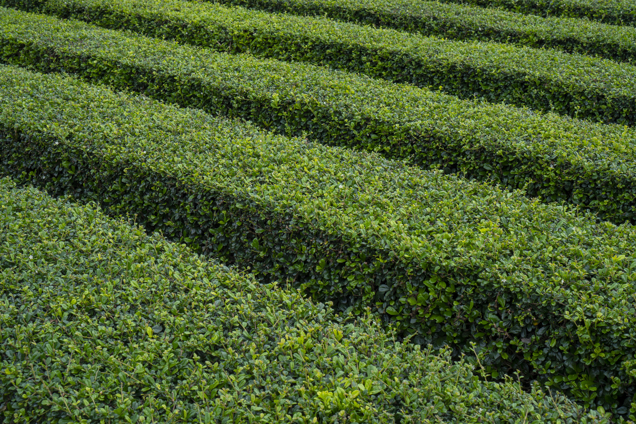 v2?sig=338f3e6f7f2ed3d9f2c16aa8c1836ee7b37970b9581771ff56dc4b66d77def63