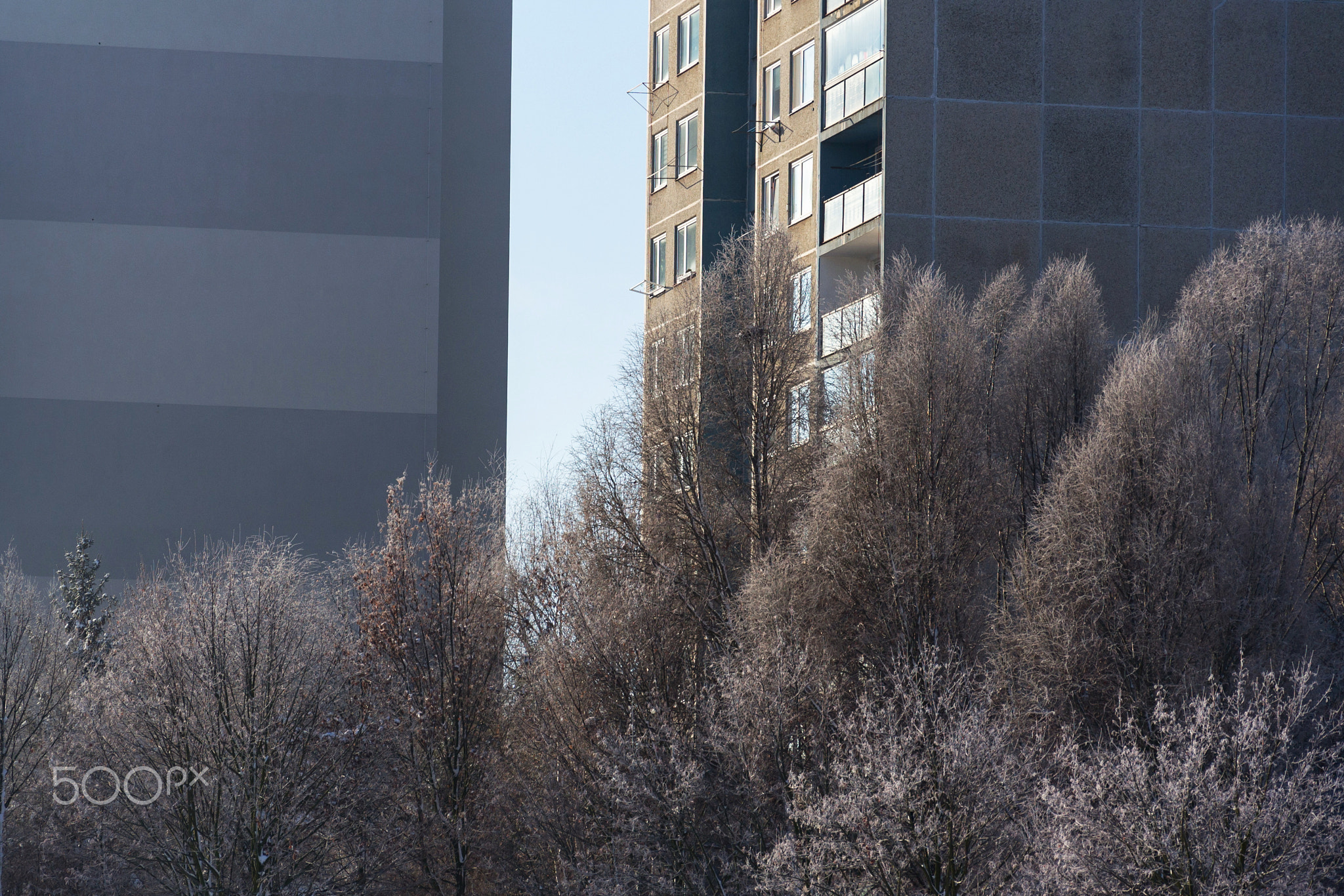 Insulated panel house apartments behind trees, high-rise block of flats, prefabricated tower...