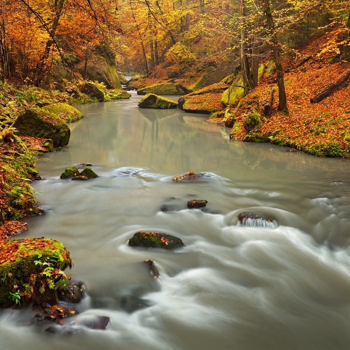 Autumn Creek II by Daniel Řeřicha / 500px