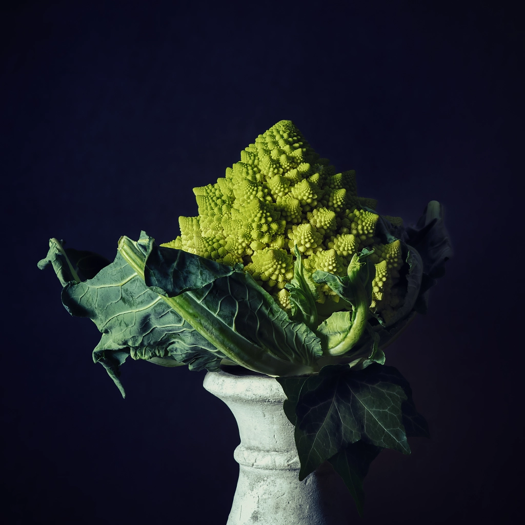 Roman Cauliflower by Monique van Velzen on 500px.com