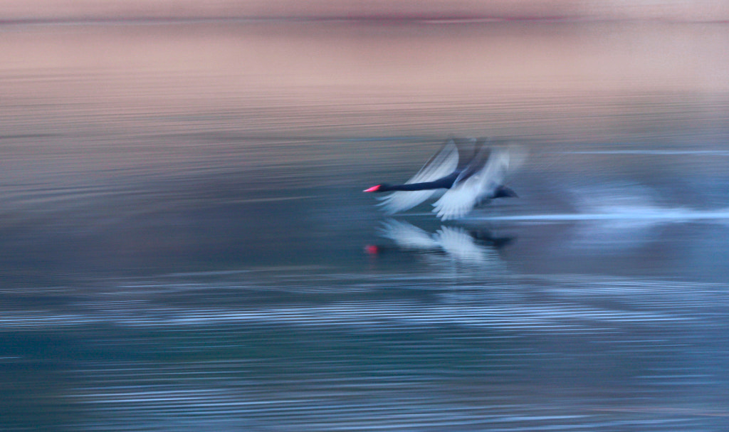 ?????·??????·??  ????  ???  ????????? by ??·Lei Lei  on 500px.com